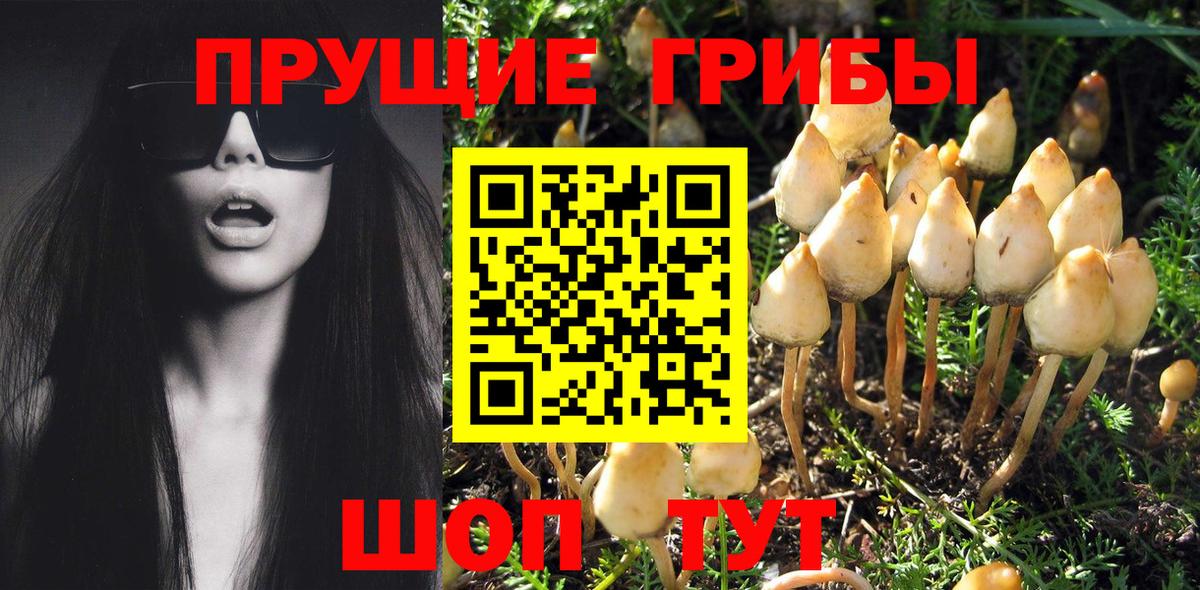 Псилоцибиновые грибы Psilocybe  Вход с VPN  Кубинка  цена   Галлюциногенные грибы ЛСД 