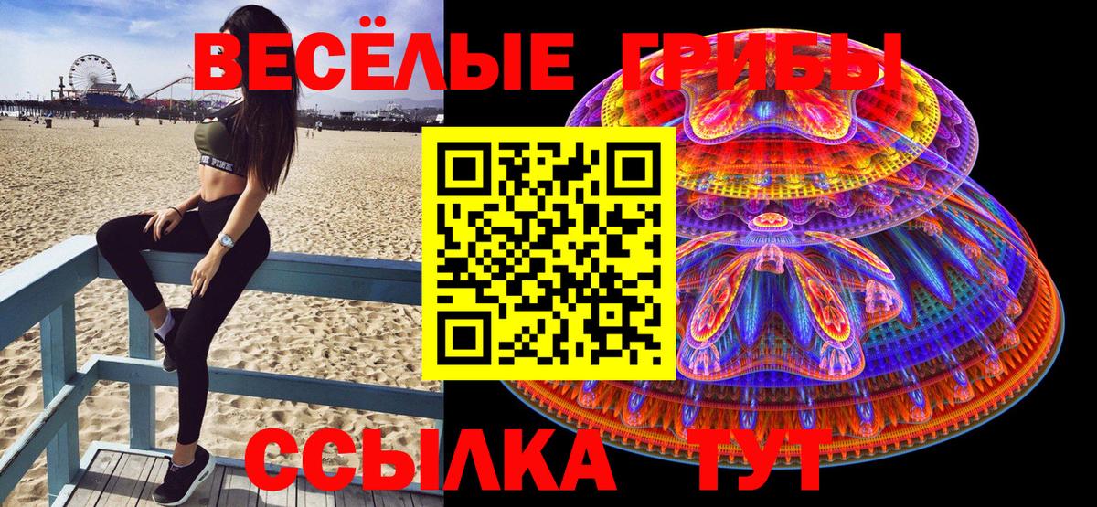 Псилоцибиновые грибы MAGIC MUSHROOMS Кубинка